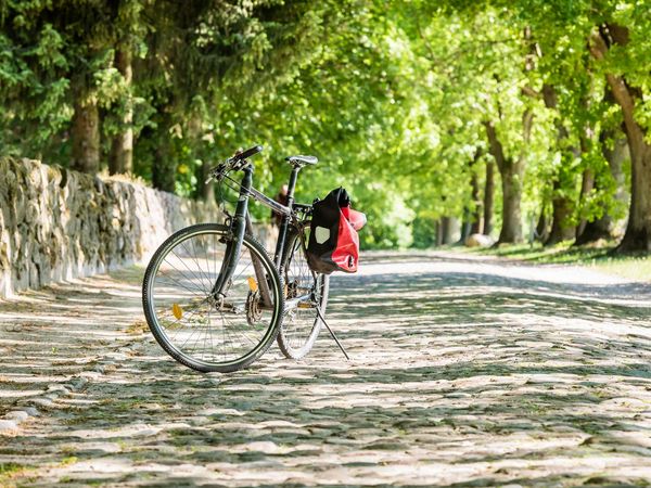 radfahren-amelinghausen-fahrradtour-lueneburger-heide „Ein Fahrrad mit roter Gepäcktasche steht aufrecht auf einer mit Kopfstein gepflasterten Allee, die von großen, grünen Bäumen gesäumt ist.“